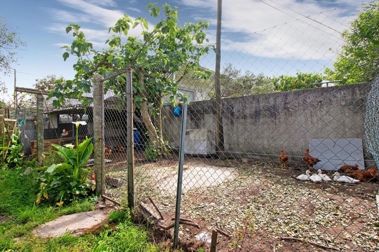 Apartamento Bali Com Piscina Apúlia エクステリア 写真